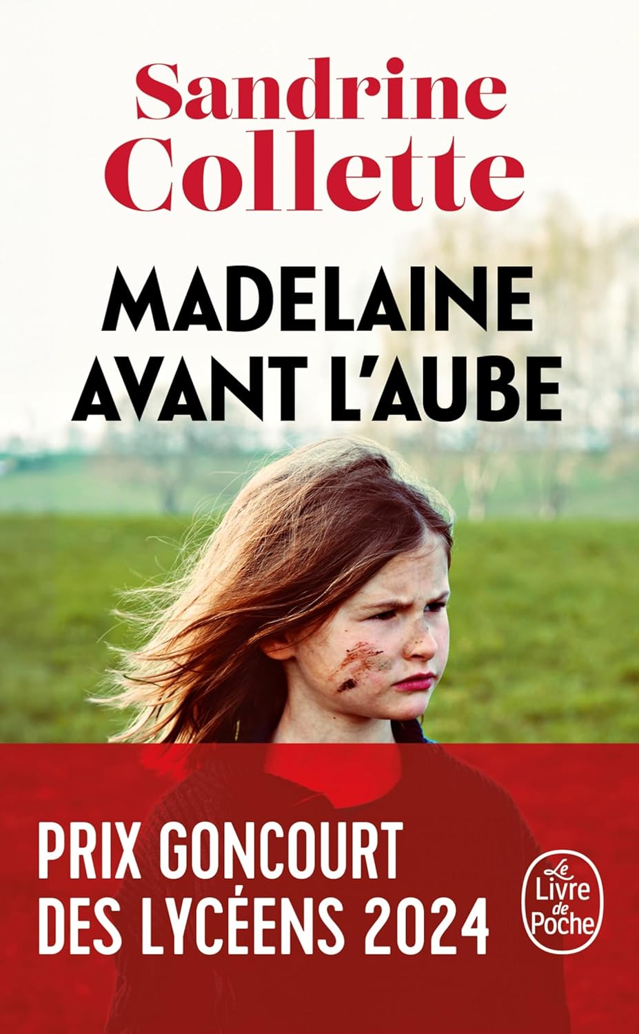 Couverture de « Madelaine avant l'aube »
