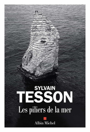Couverture de « Les piliers de la mer »