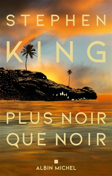 Couverture de « Plus noir que noir »