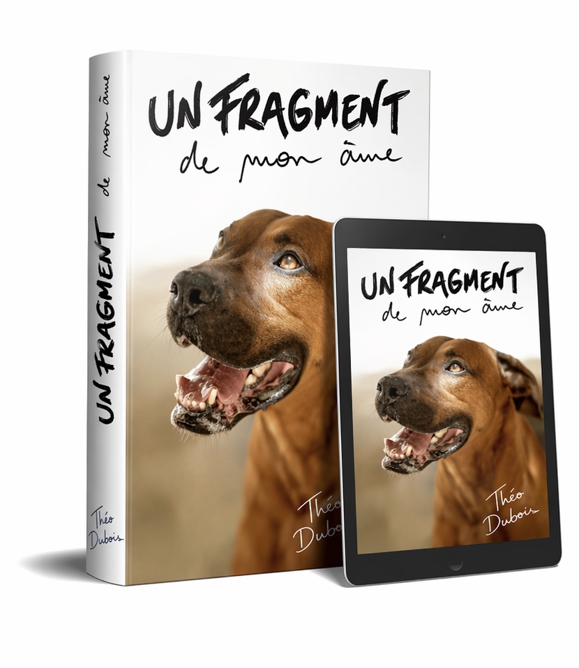 Couverture de « Un fragment de mon âme »