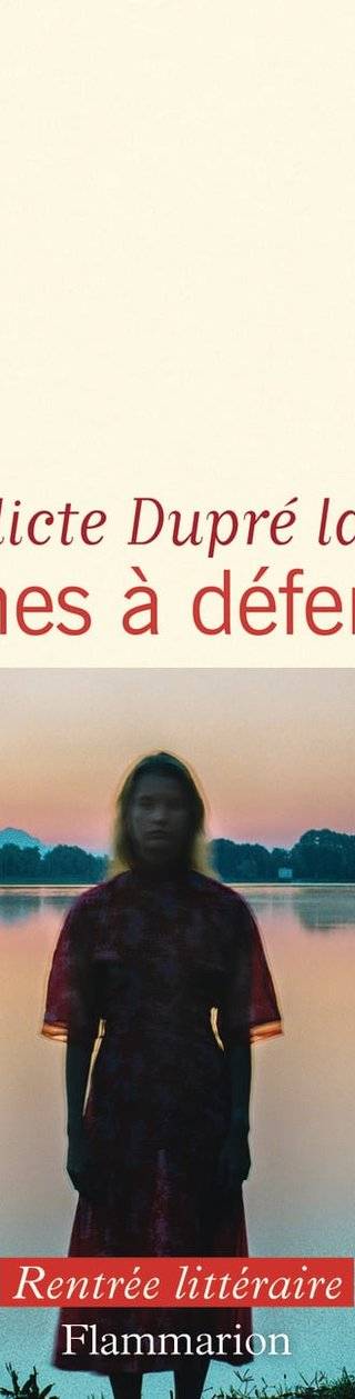 Couverture de « Zones à défendre », Bénédicte Dupré la Tour